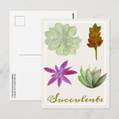 Vetplanten Kleurpotloodtekeningen Briefkaart (Voorkant / Achterkant)