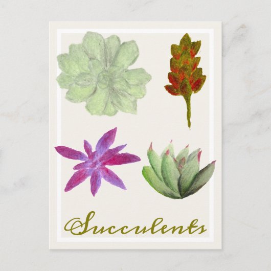 Vetplanten Kleurpotloodtekeningen Briefkaart (Voorkant)