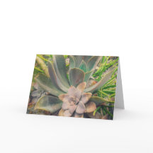 Vetplanten, Moederdag