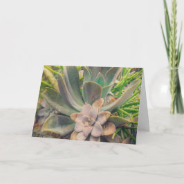 Vetplanten, Moederdag Kaart