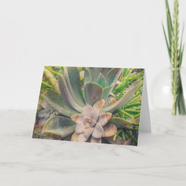 Vetplanten, Moederdag Kaart
