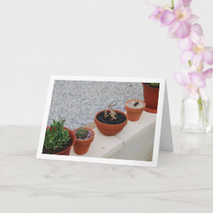 Vetplanten op Tuinmuur Portret Kaart