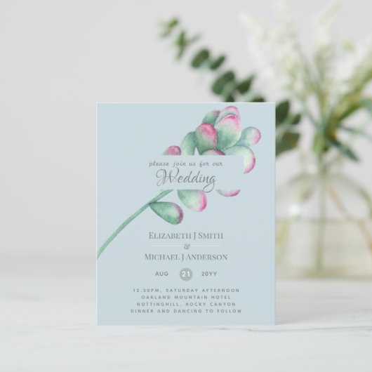 Vetplanten Roze Blosemtint Muntgroen Budget Trouwe (Staand voorkant)