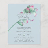 Vetplanten Roze Blosemtint Muntgroen Budget Trouwe (Voorkant)