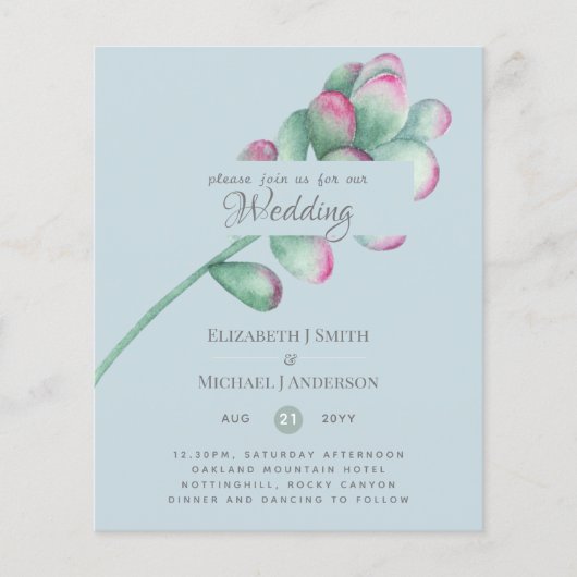 Vetplanten Roze Blosemtint Muntgroen Budget Trouwe (Voorkant)