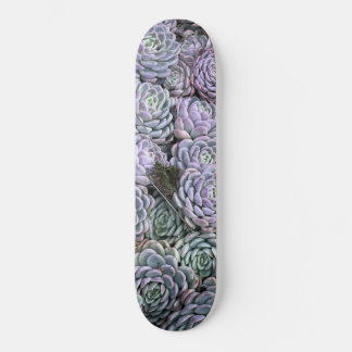 Vetplanten, Vetplanten, Vetplanten  Persoonlijk Skateboard
