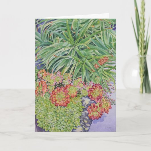 Vetplantentuin Kaart (Voorkant)