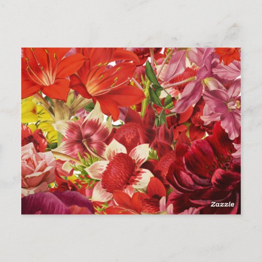Vetrijke rode bloemen Bedankt Card Briefkaart (Achterkant)