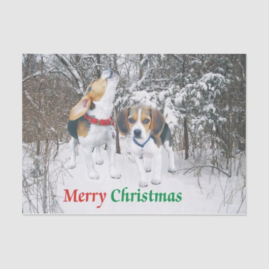 Vette kerstbeagle-ups in Bos-weefselpapier Tissuepapier (Voorkant)