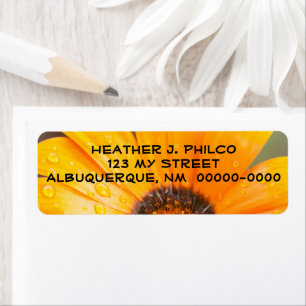 Vette Oranje natte Daisy Half close-up foto Etiket