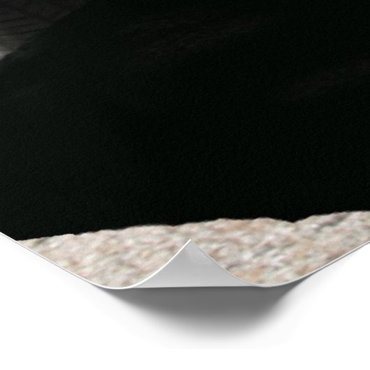 "vette poster (Hoek)