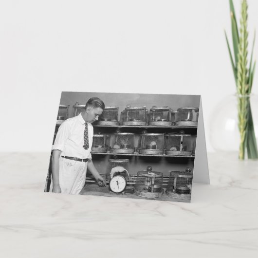 Vette Rat, jaren '20 Kaart (Voorkant)