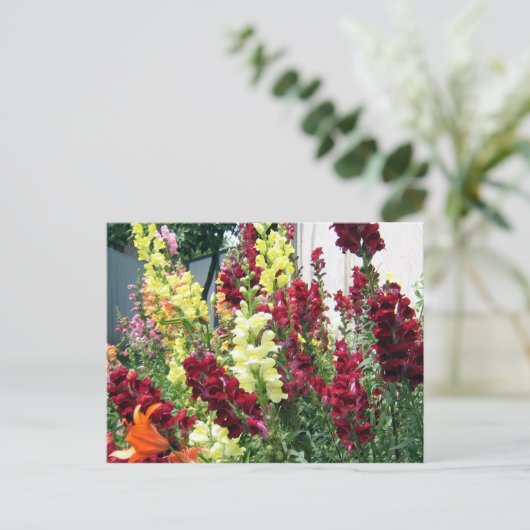 Vette Rocket Snapdragons Briefkaart (Staand voorkant)