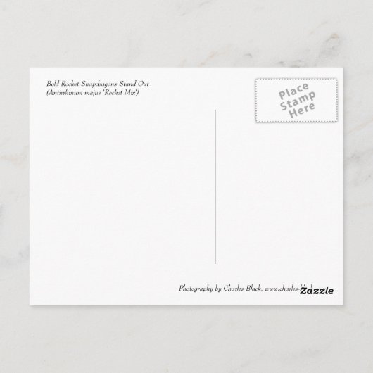 Vette Rocket Snapdragons Briefkaart (Achterkant)