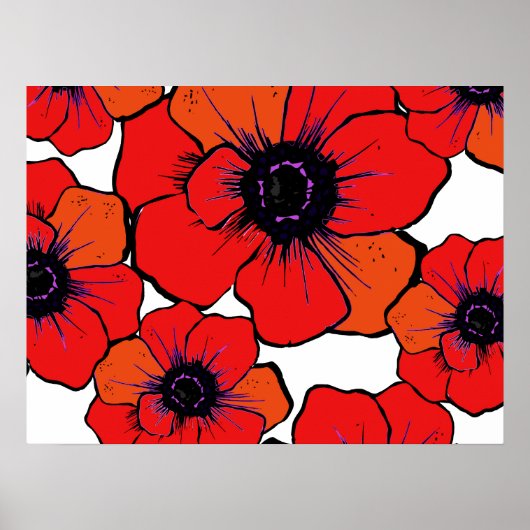 Vette rode Oranje papaver Poster (Voorkant)