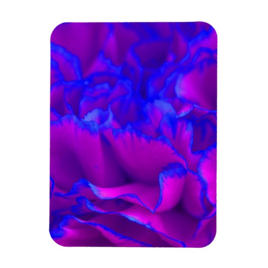 Vette roze Fuschia en blauwe anjer ventilator Magneet (Verticaal)