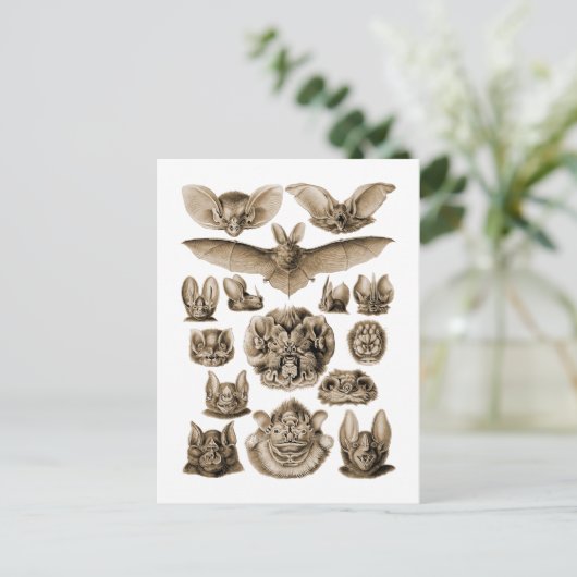 Vetten Briefkaart (Staand voorkant)