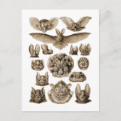 Vetten Briefkaart (Voorkant)