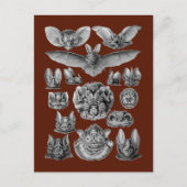 Vetten Briefkaart (Voorkant)