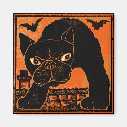 Vetten Magneet (Voorkant)