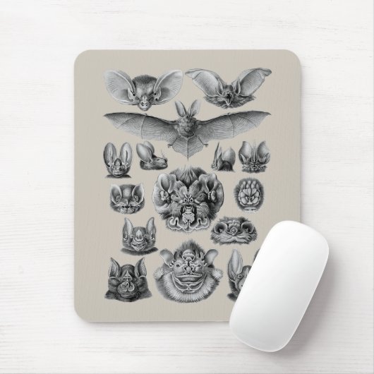 Vetten Muismat (Met muis)