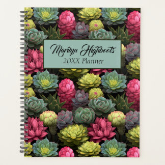 vettige vetplanten planner