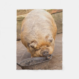 Vetvarkens Fleece Deken