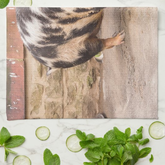 Vetvarkens Theedoek (Gevouwen)