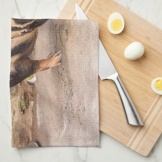 Vetvarkens Theedoek (Quarter Fold)