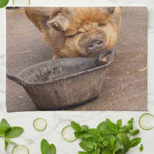 Vetvarkens Theedoek (Gevouwen)