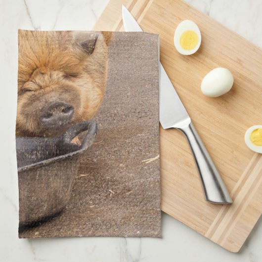 Vetvarkens Theedoek (Quarter Fold)