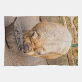 Vetvarkens Theedoek
