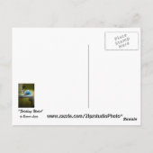 Vetwater Briefkaart (Achterkant)