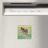 Veulen in paardenbloemveld magneet (Insitu (Vaatwasser))