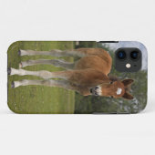 Veulen iPhone 5 Hoesje (Achterkant (horizontaal))
