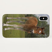 Veulen iPhone X Hoesje (Achterkant (horizontaal))