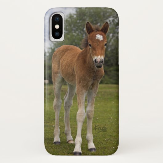 Veulen iPhone X Hoesje (Achterkant)