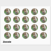 Veulen ruikende madeliefjes Sticker (Vel)