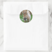 Veulen ruikende madeliefjes Sticker (Tas)