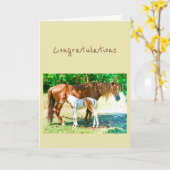 Veulen van het Paard van het Baby van de Kaart (Gele Bloem)