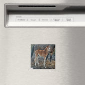 Veulenmagneet Magneet (Insitu (Vaatwasser))