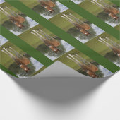 Veulens Cadeaupapier (Hoek)