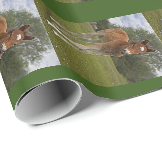 Veulens Cadeaupapier (Rol Hoek)