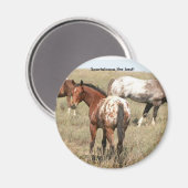 veulens magneet (Voorkant / Achterkant)