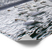 Vevey Lake Genève Poster (Hoek)
