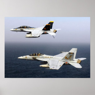 VF-32 zwaardmannen F-14 Poster