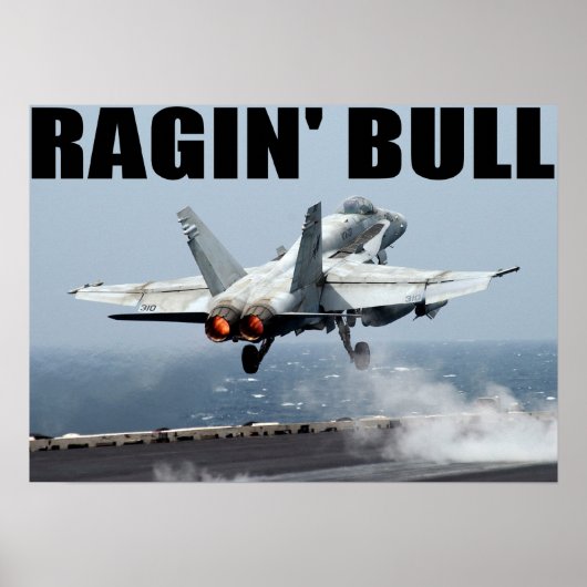 VFA-37 Ragin' Bull Poster (Voorkant)