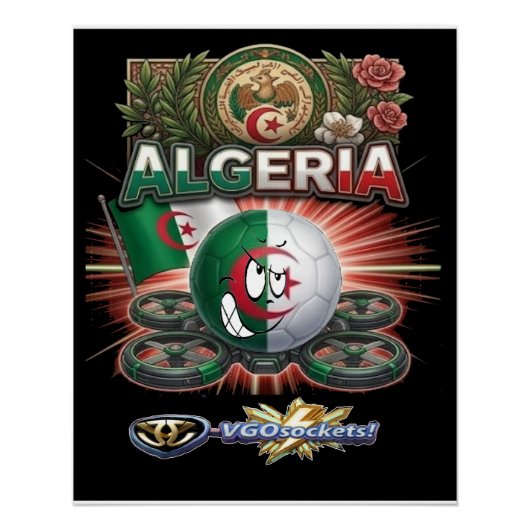 VGO-GBALLS-Algeria-GBal Perfect Poster (Voorkant)
