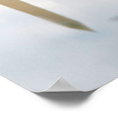 VH-3D-ZEE KING POSTER (Hoek)