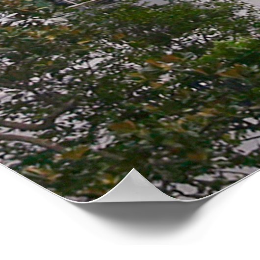 VH-92A PATRIOT MARINE ONE POSTER (Hoek)